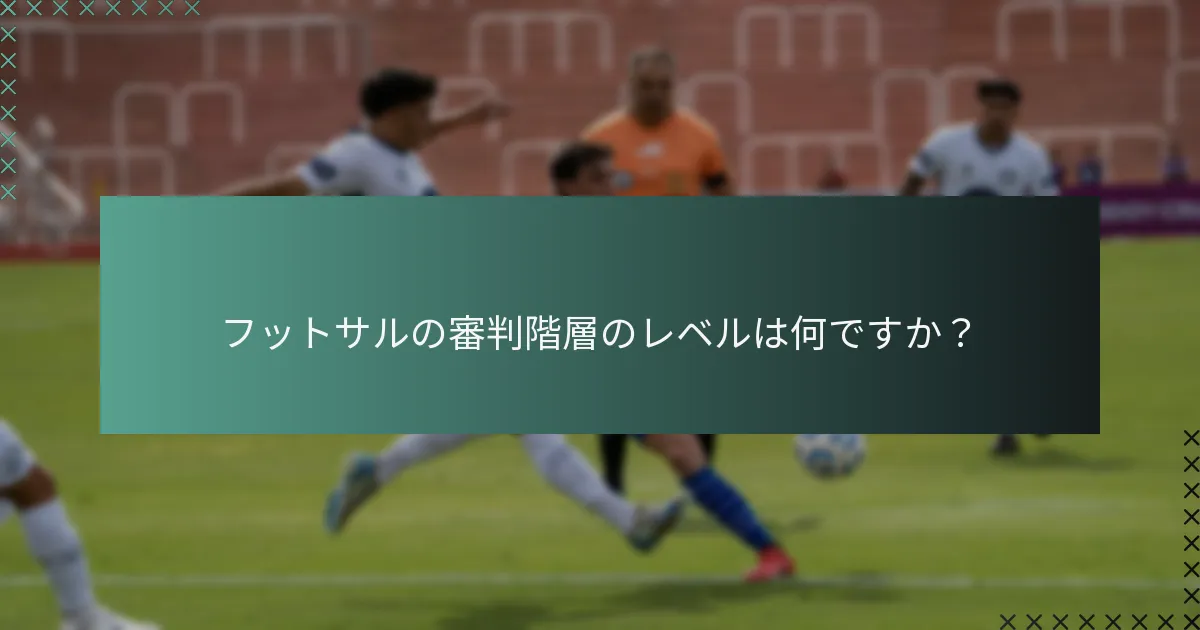 フットサルの審判階層のレベルは何ですか？